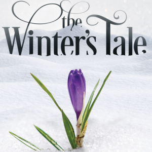 A Tulip in the snow Graphic Image