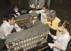 From left, Ryan Barrett, Sean Callahan, Michael Farag, Barry Witham and Elise Hunt work on a model of the Fortune, an Elizabethan theater that was a contemporary of Shakespeare’s Globe