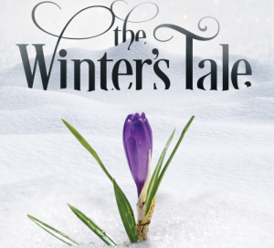 A Tulip in the snow Graphic Image