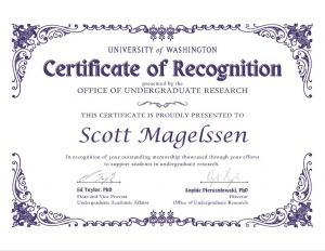 Award certificate with decorative boarder
