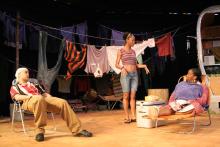 Wild Black-Eyed Susans performance