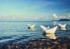 Paper boats on an ocean